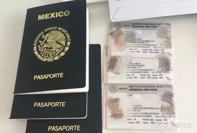 德国备战保加利亚挑战，几内亚等你来见证神奇一幕的简单介绍