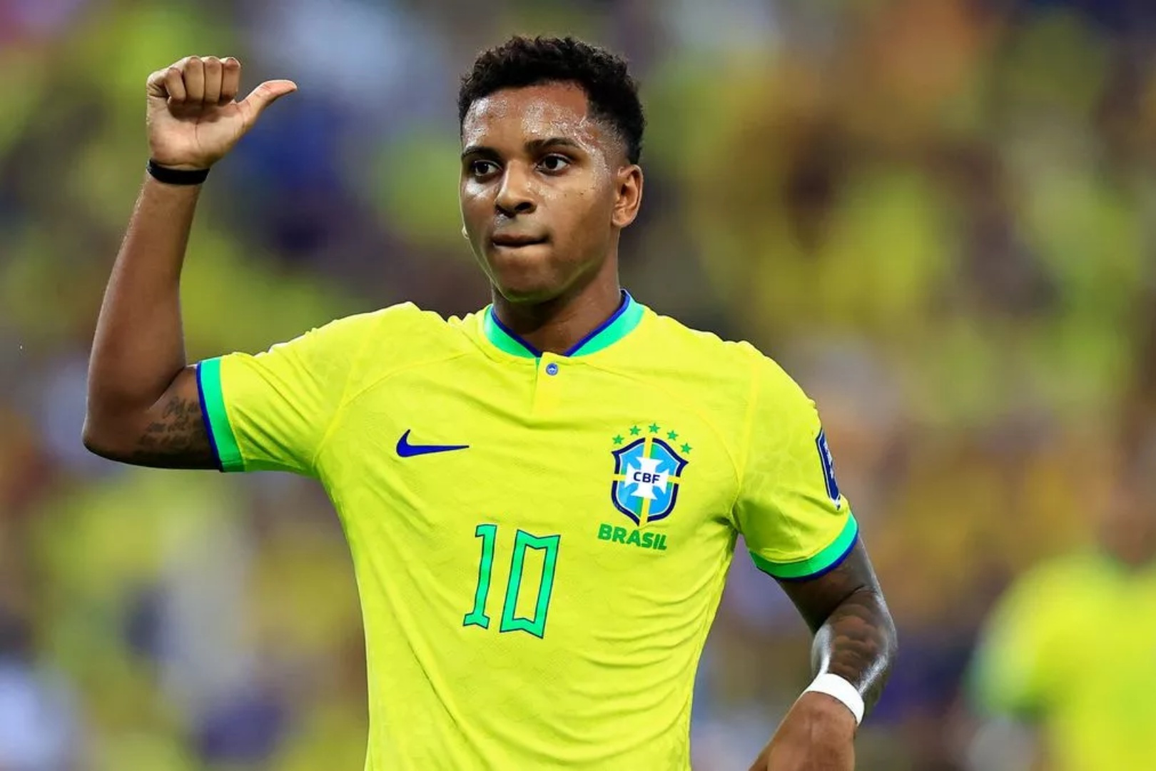 欧洲名将奋勇争先，夺得多项荣誉的简单介绍