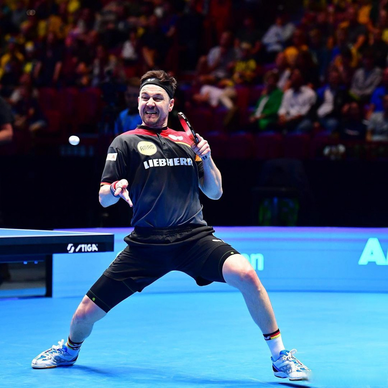 关于中国乒乓球队逆转比利时乒乓球队，波尔惊艳世界的信息