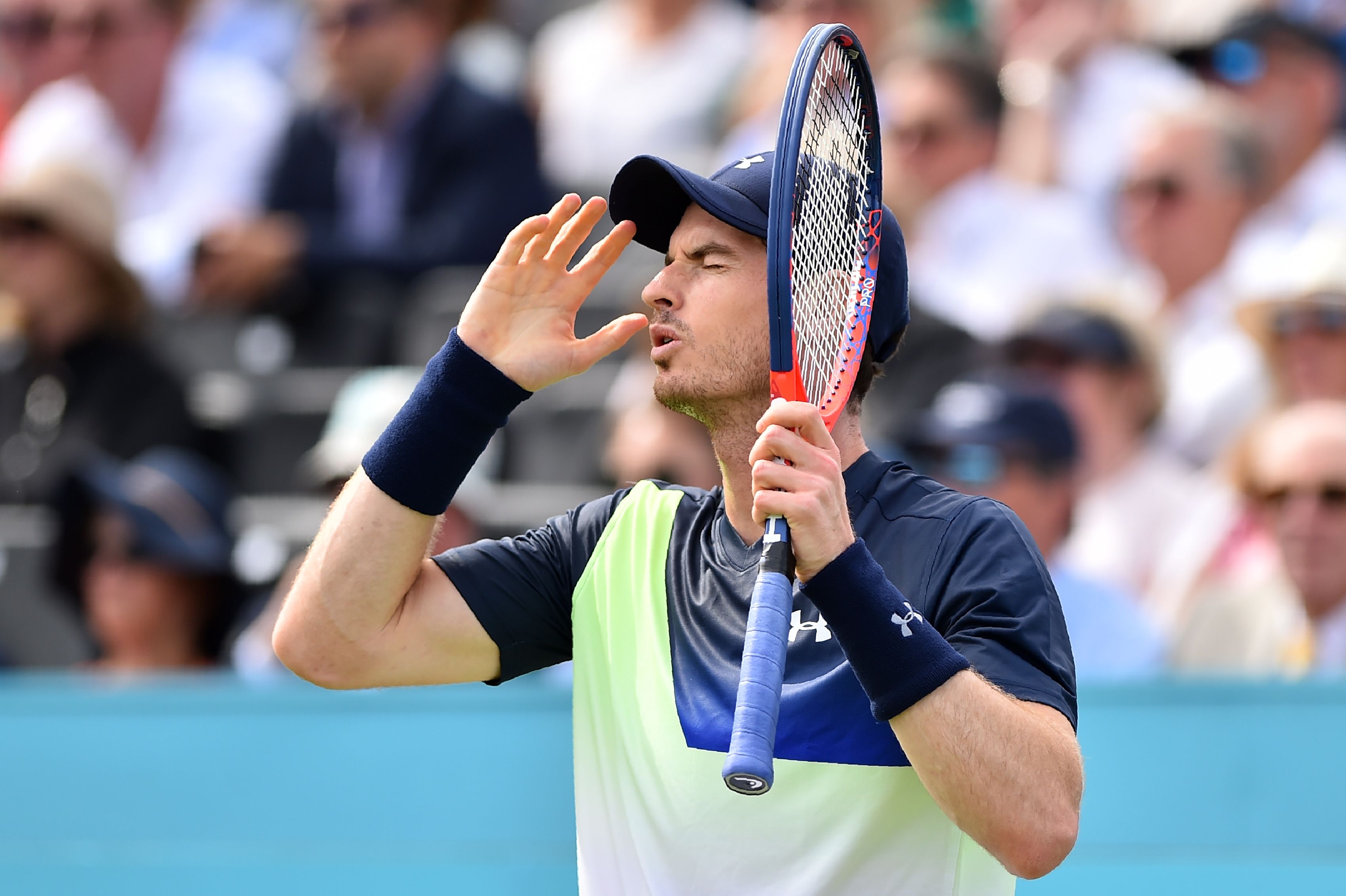 英国网球队爆冷日本网球队，穆雷关键制胜的简单介绍