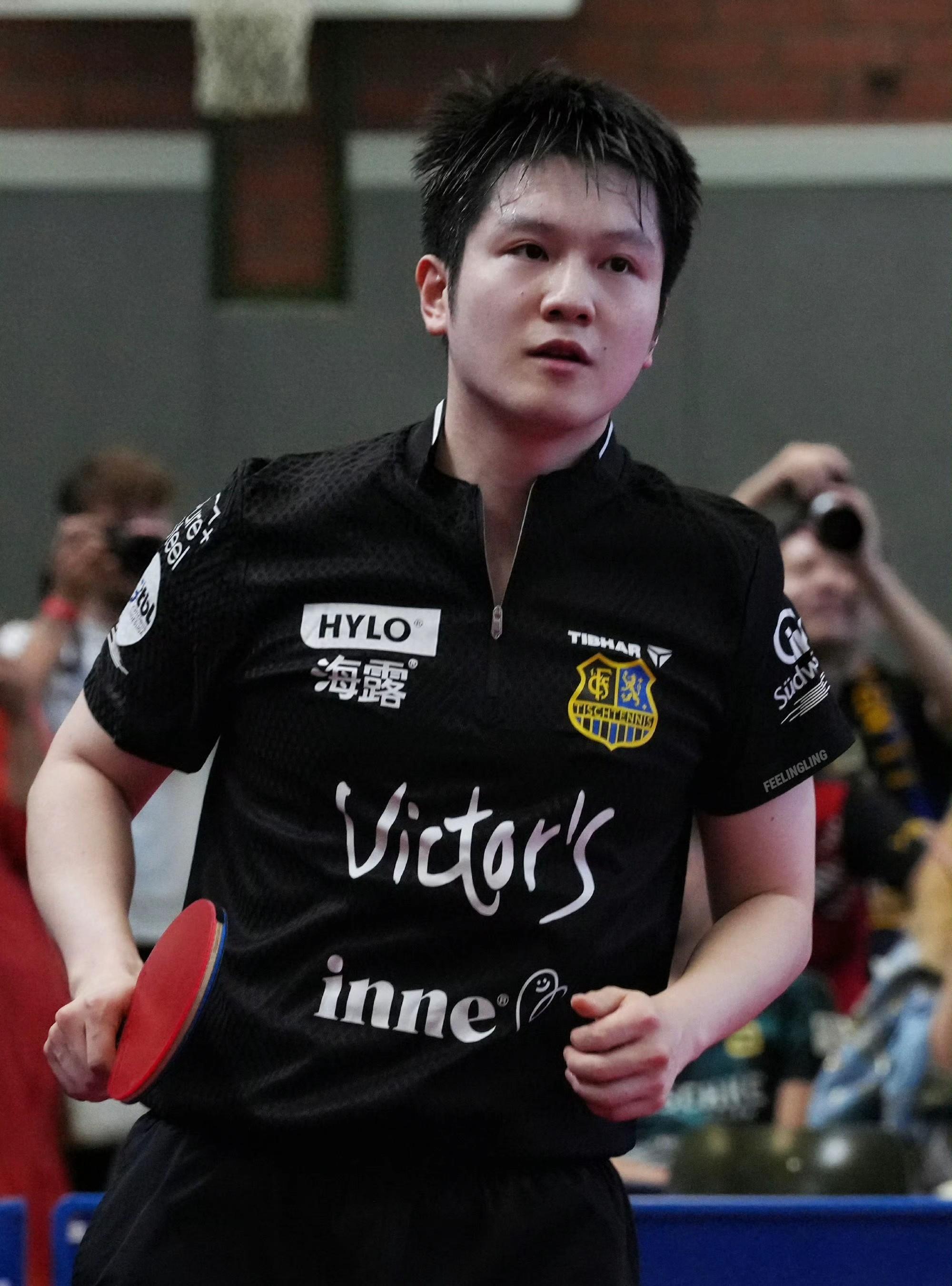 奥地利乒乓球队完胜德国乒乓球队，波尔爆发神勇的简单介绍