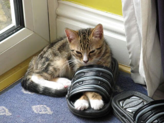 当萨拉赫扛起全队，巴拉圭对阵芬兰背后的足球寓言