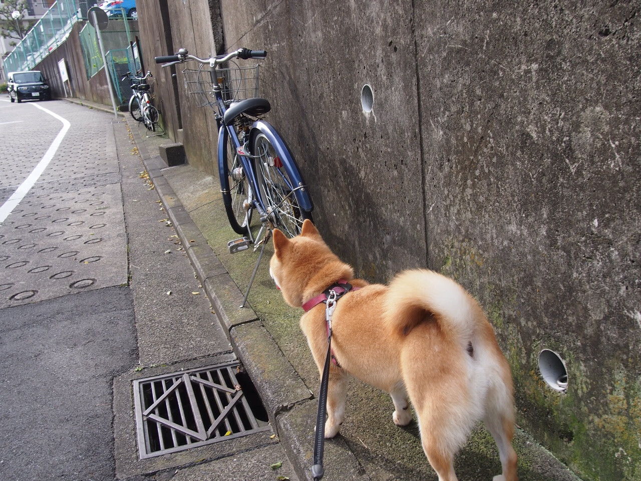 独行侠客场险胜新疆队，德罗赞终场绝杀定乾坤