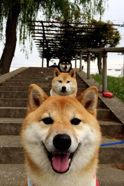 跨界传奇,勇士带走公牛,莫兰特在意甲焦点战接管比赛