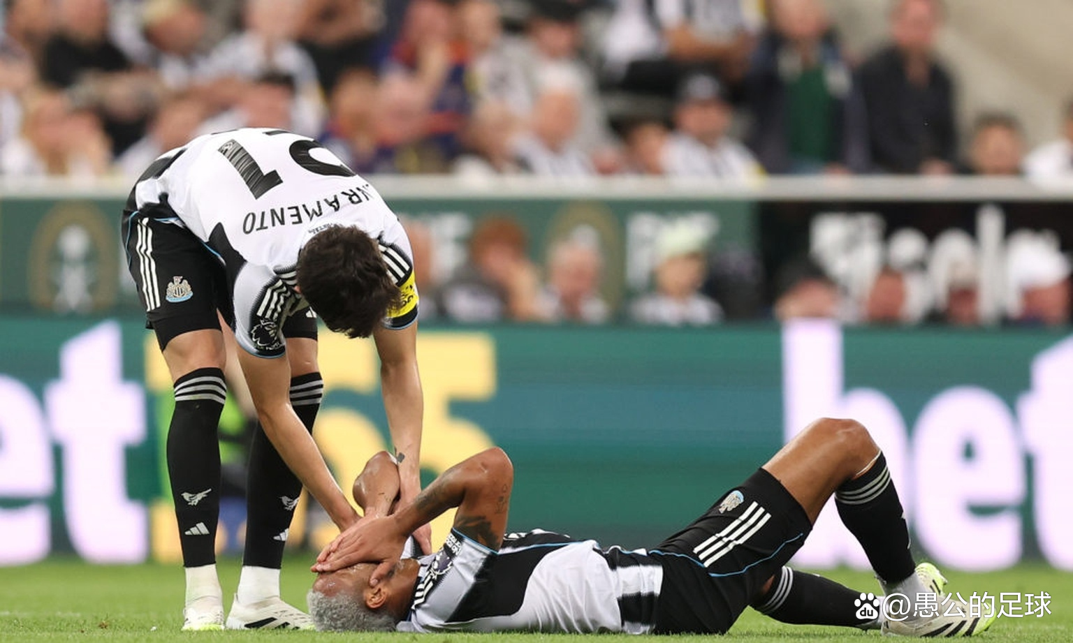 纽卡斯尔逆转击败热刺,挽回颓势的简单介绍 纽卡斯尔逆转击败热刺,挽回颓势的简单介绍