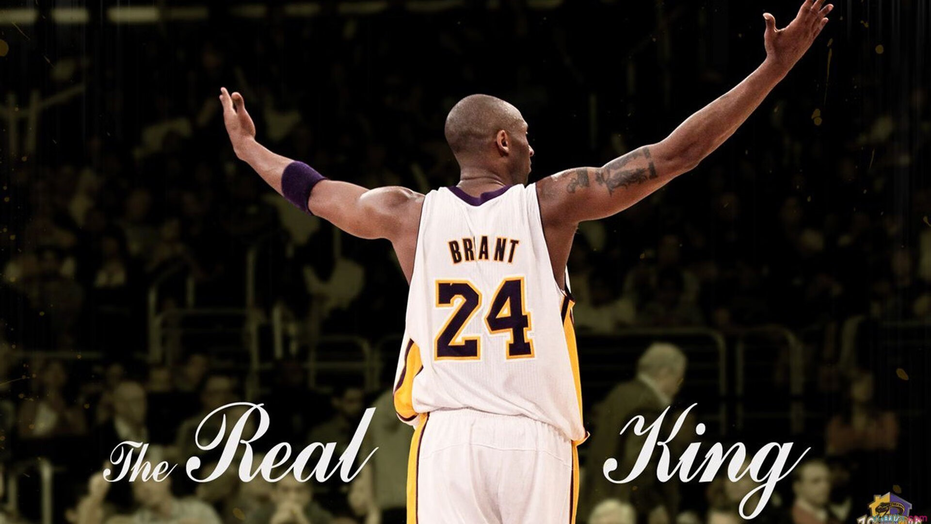 步行者铁蹄踏破北岸花园,武切维奇全能表演令凯尔特人窒息